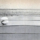 Illustration for article titled Did B.F. Skinner really put babies into boxes?